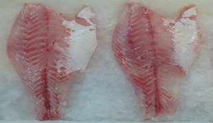 Fresh skinless Nile perch fillet, export quality