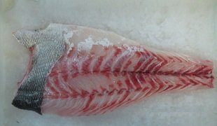 Frozen kosher-cut Nile perch fillet, neck side
