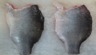 Frozen skin-on Nile perch fillet